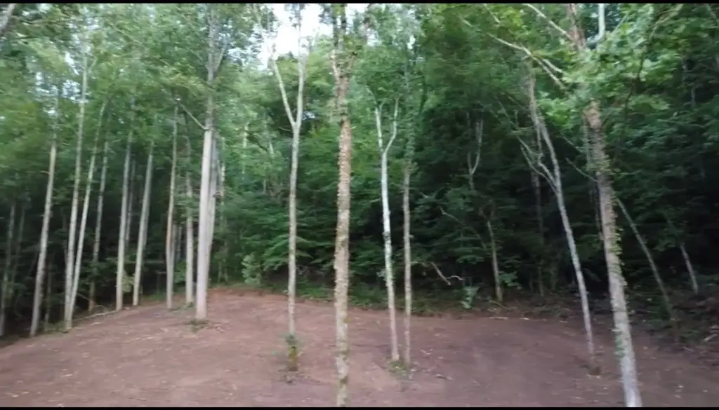 Picture 24