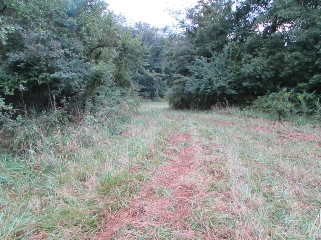Picture 39