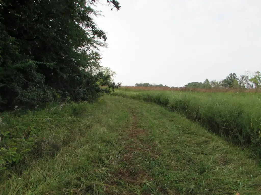 Picture 28