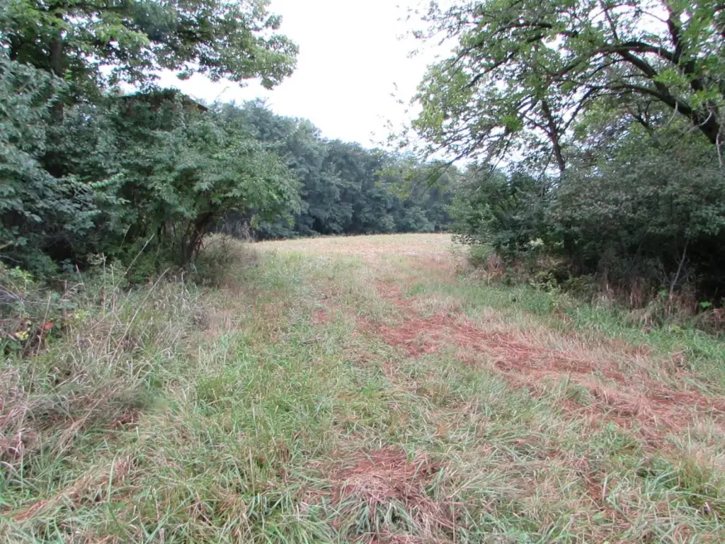Picture 32