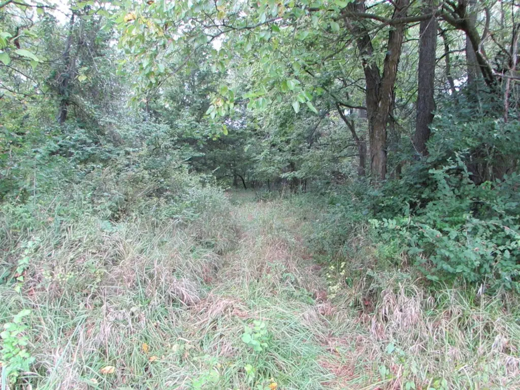 Picture 47
