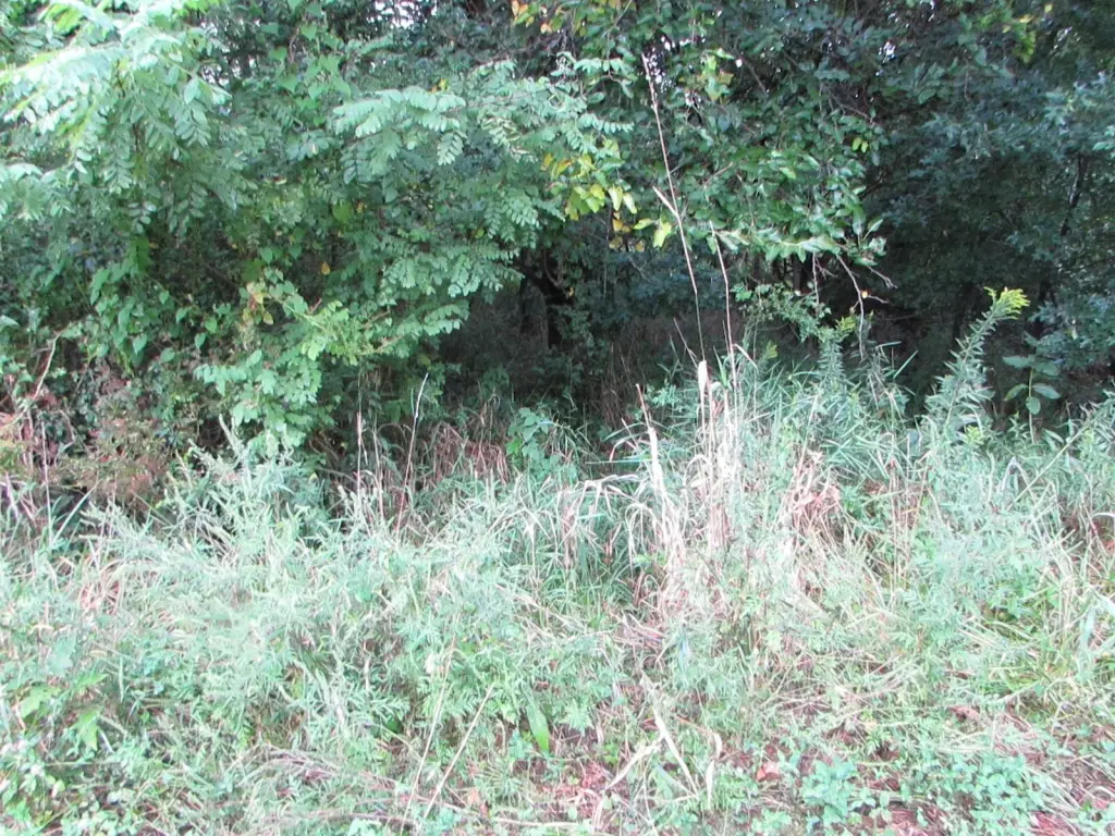 Picture 43
