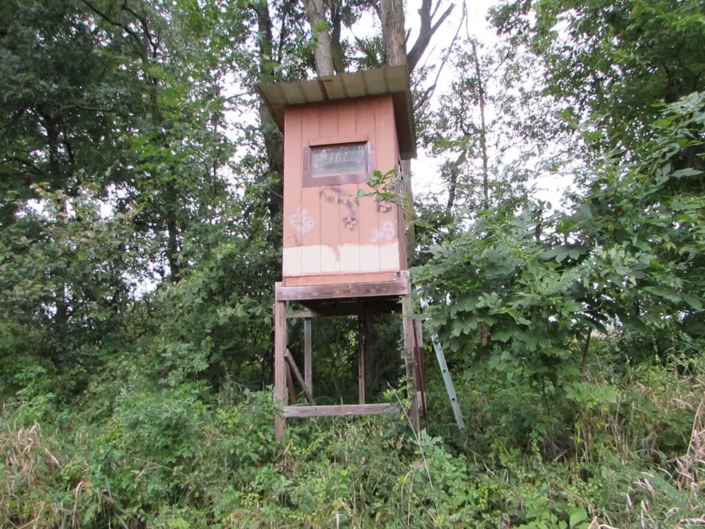 Picture 42