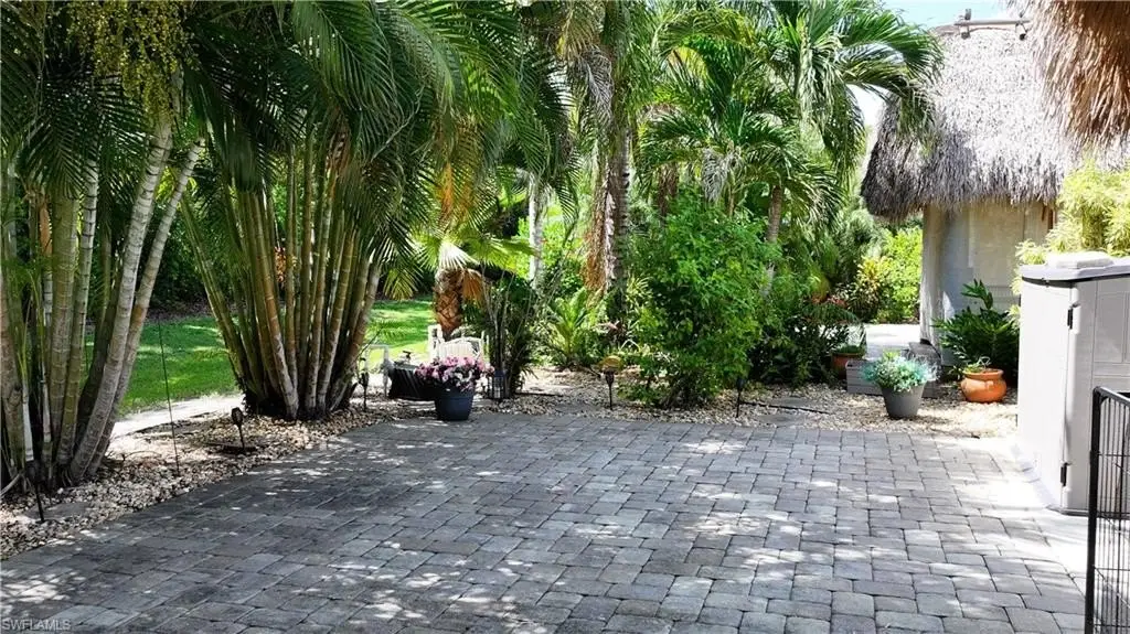 Picture 19