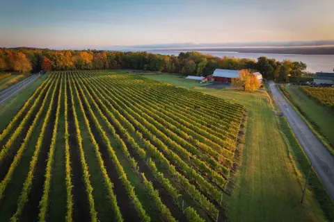 Finger Lakes Winery and Estate