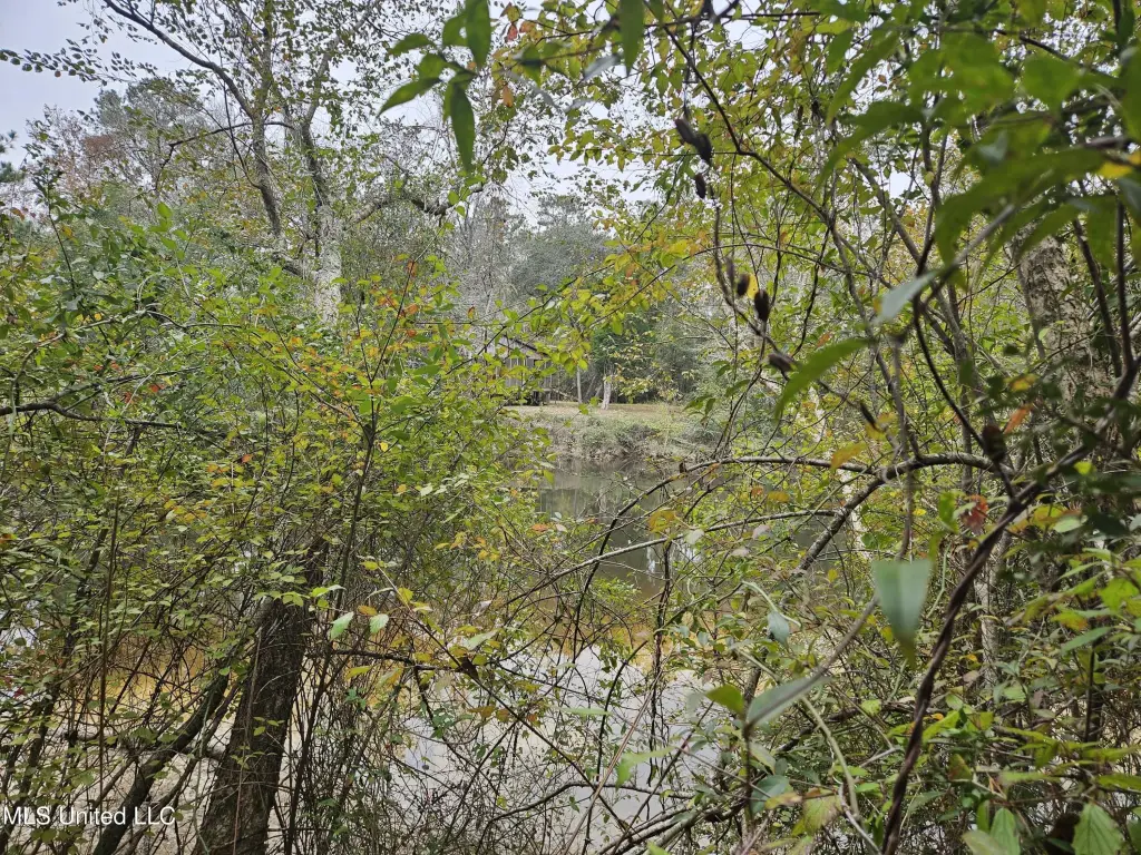 Picture 20
