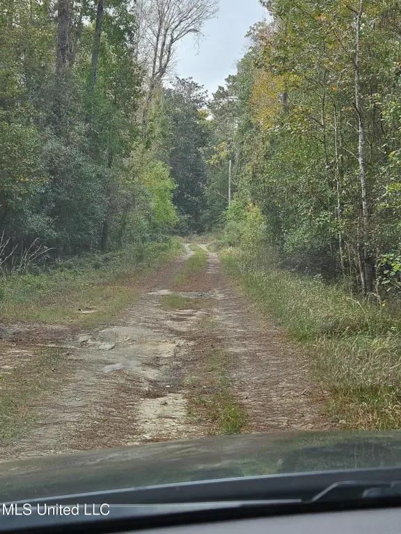 Picture 3