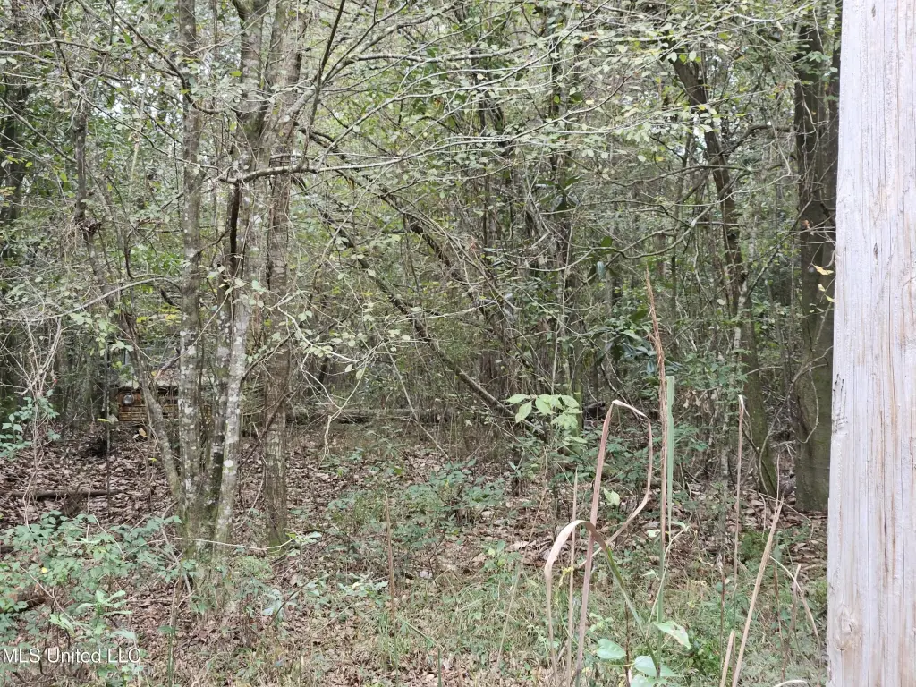 Picture 18