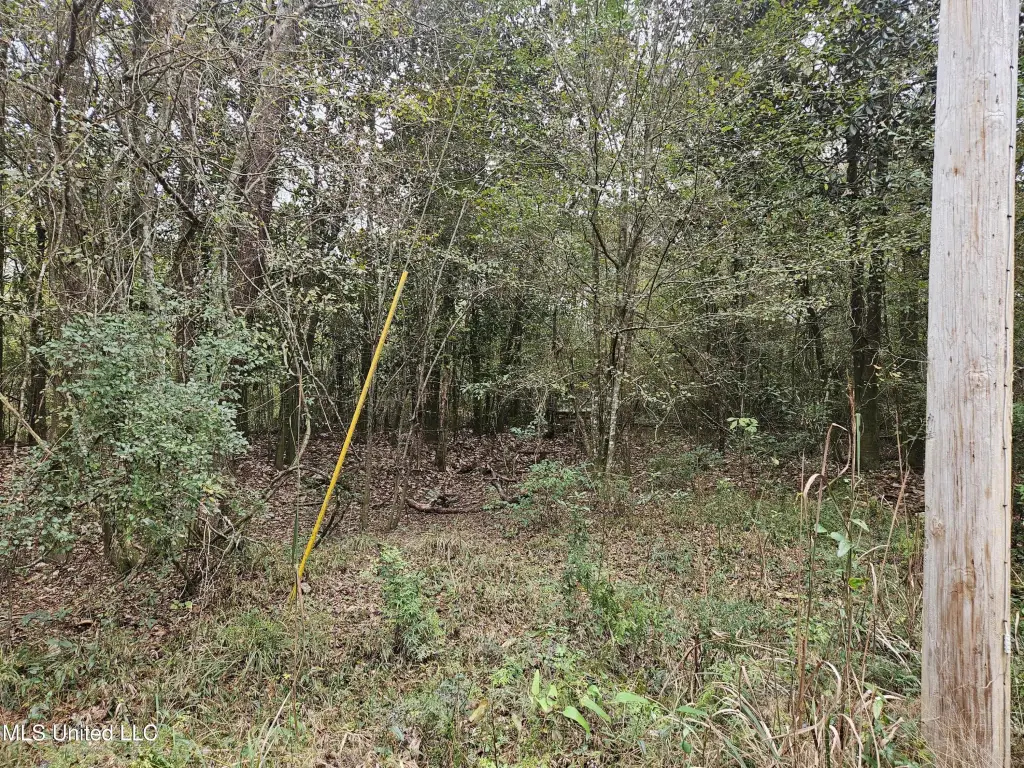 Picture 16