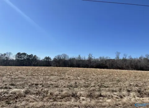 Acreage in Athens, Alabama