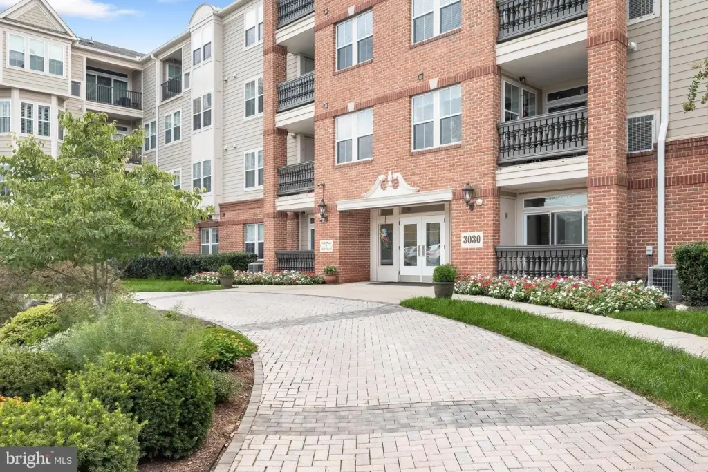 Picture 52