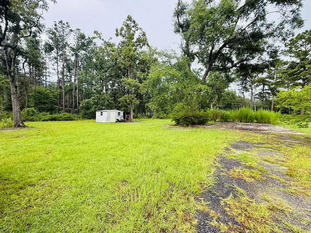 Picture 4