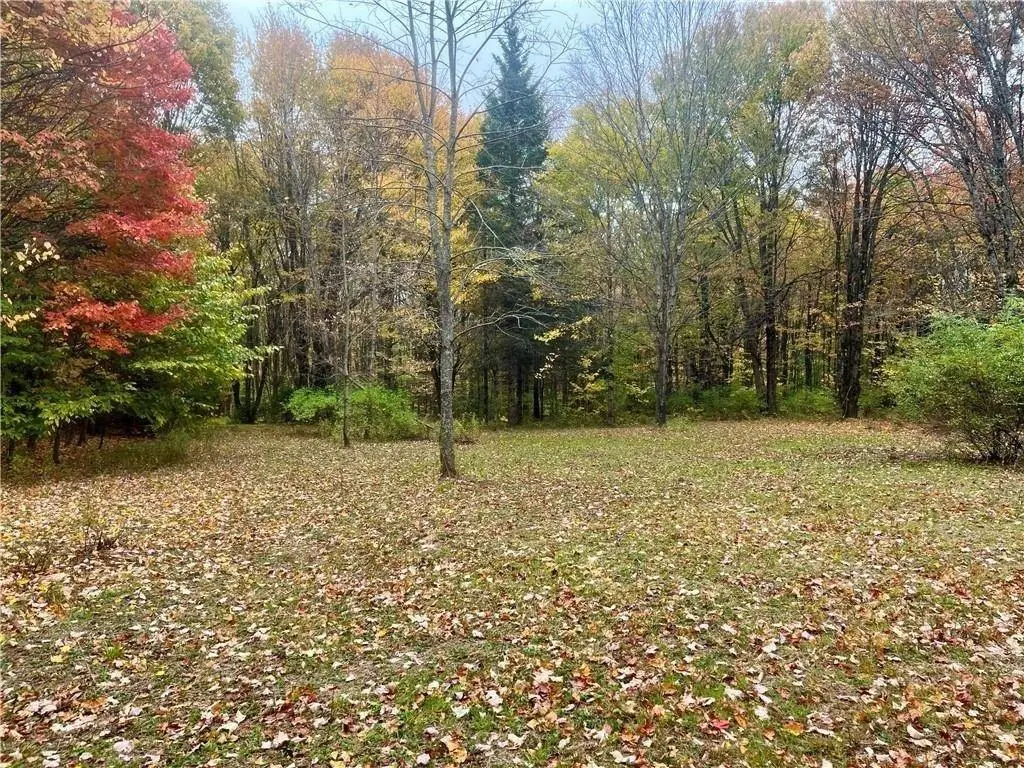 Picture 14