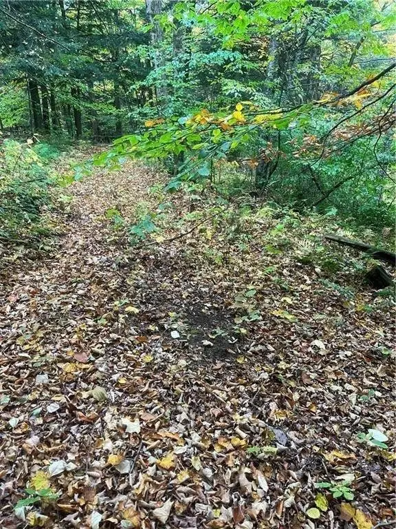 Picture 30