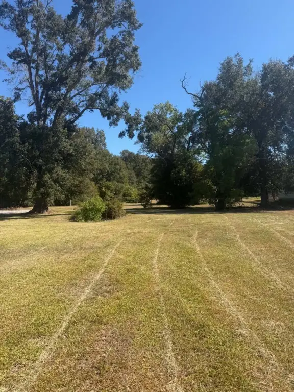 Picture 4