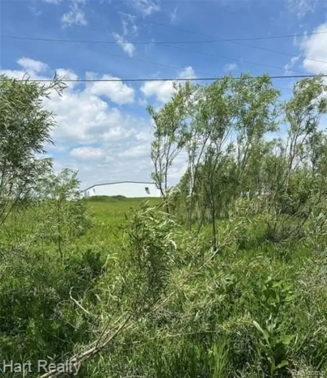 Picture 2