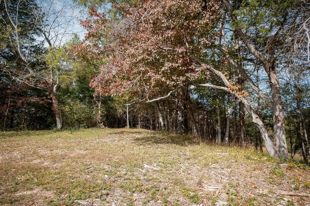 Picture 25