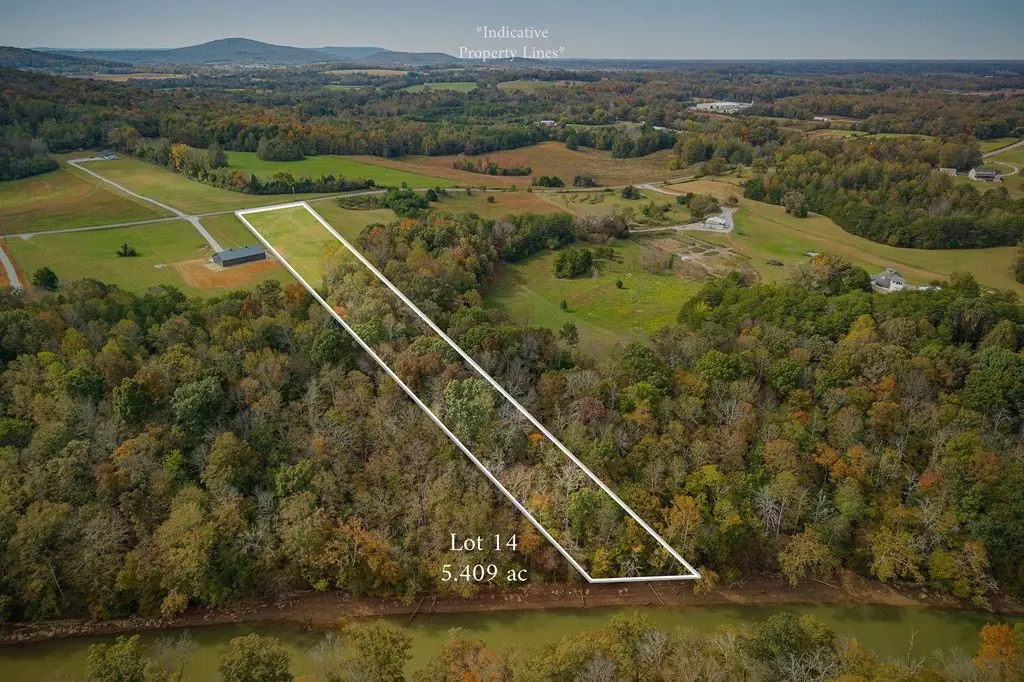 Picture 11