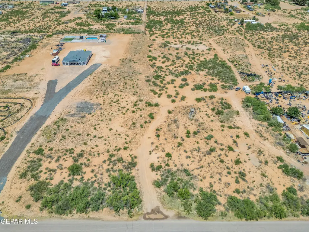 Picture 5