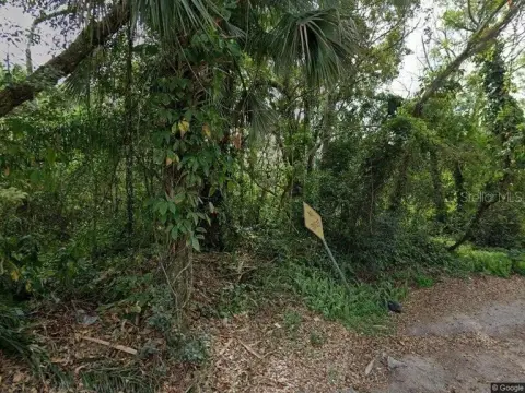Spacious Lot in Ocoee, Florida