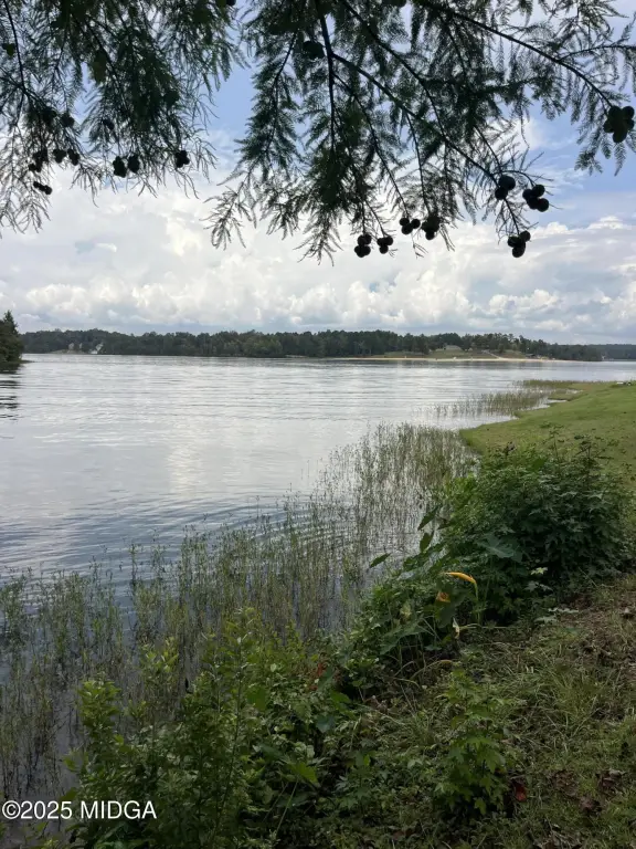 Picture 9