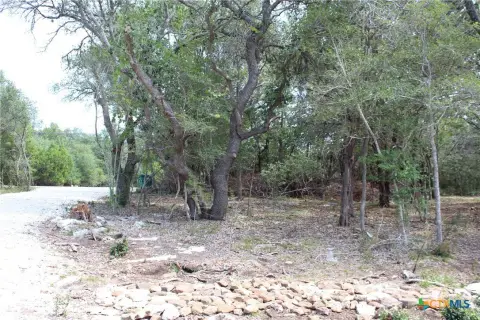 Canyon Lake Land with Improvements