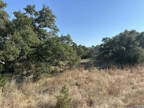 Undeveloped Land in New Braunfels