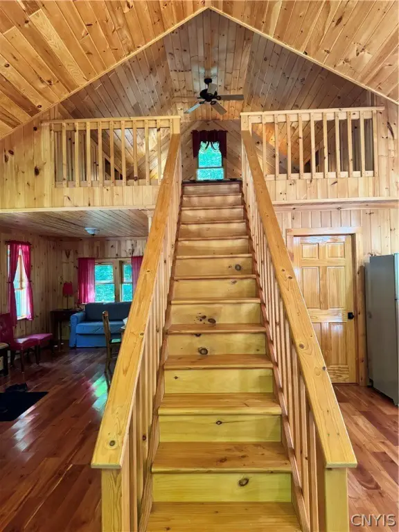 Picture 16