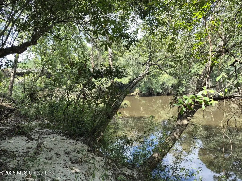 Picture 27