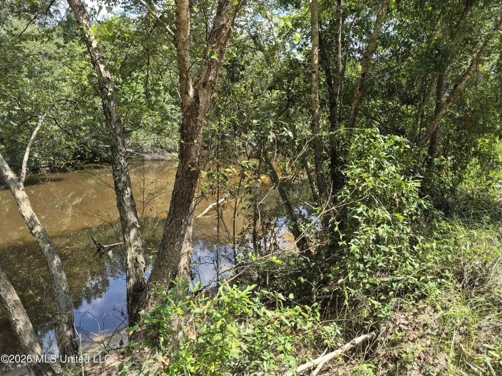 Picture 21