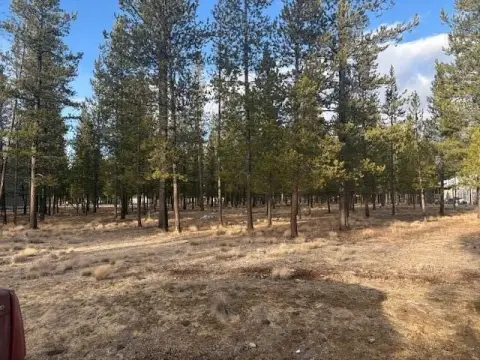 Wooded Lot in La Pine