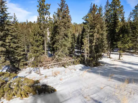 Black Hills Homesite Opportunity