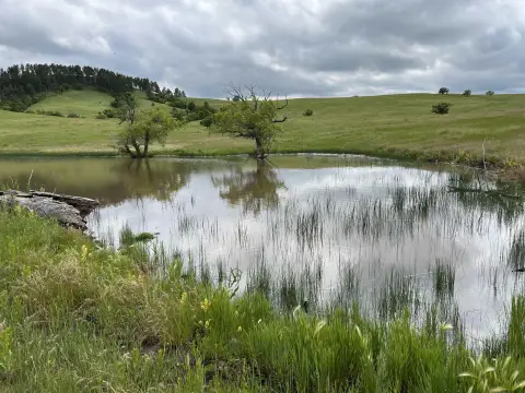 40 Acres of Natural Beauty