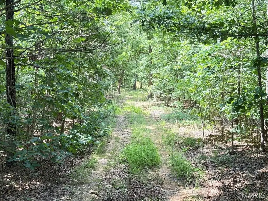 Picture 33