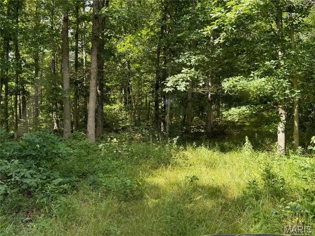 Picture 41