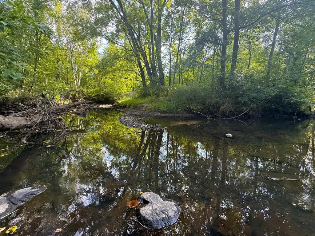 Picture 25