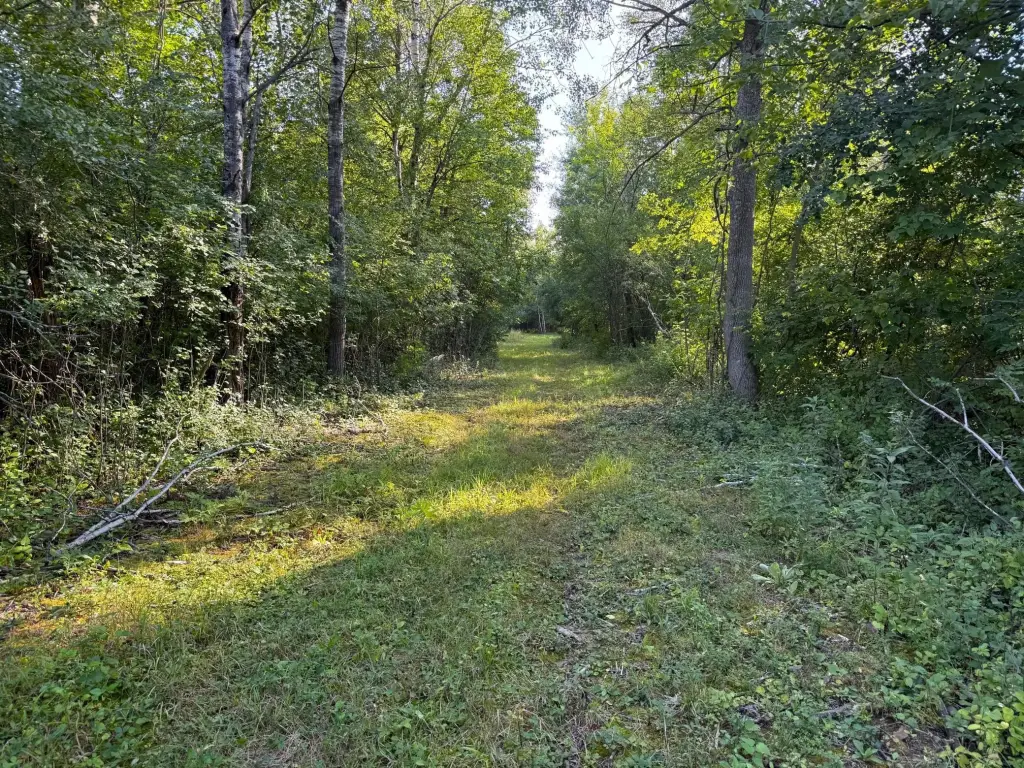 Picture 39