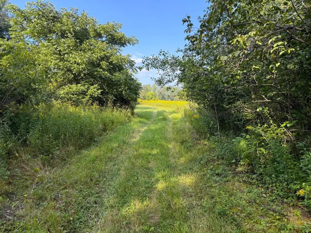 Picture 6