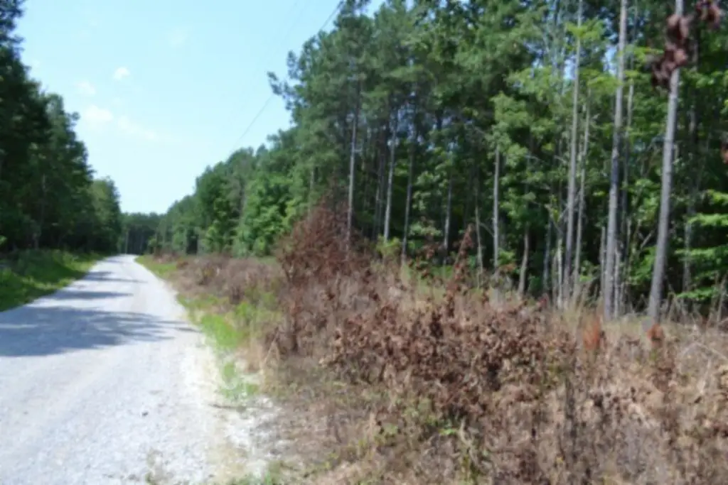 Picture 45