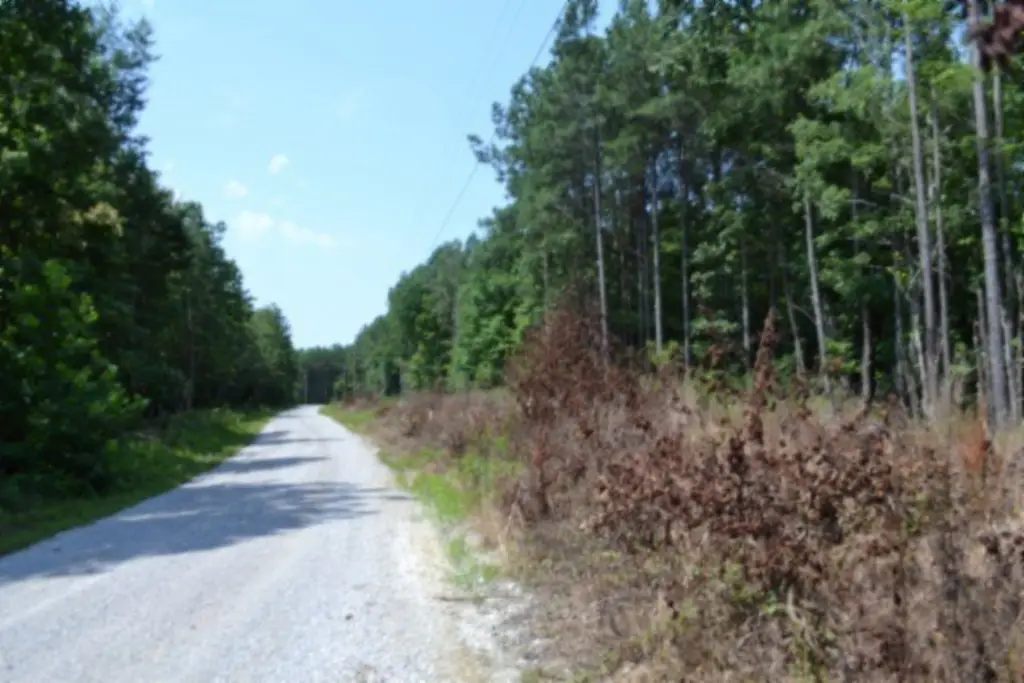 Picture 44