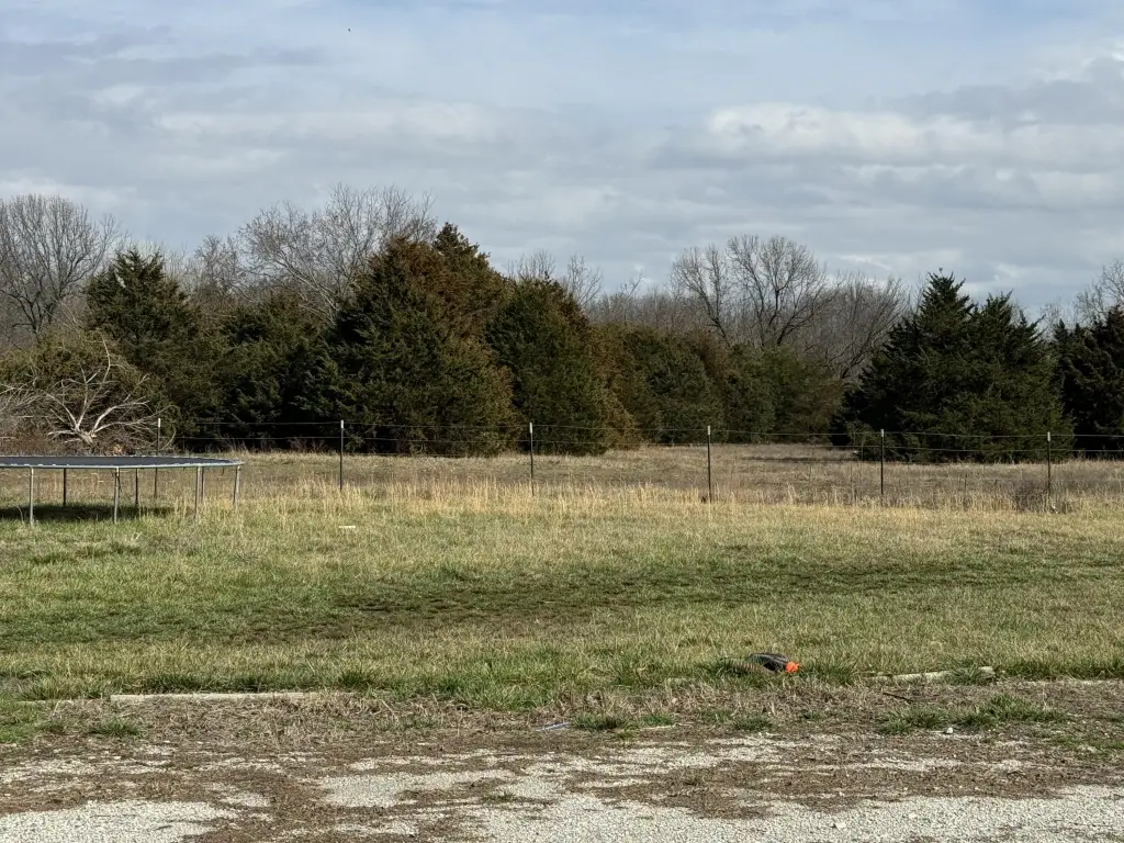 Picture 21