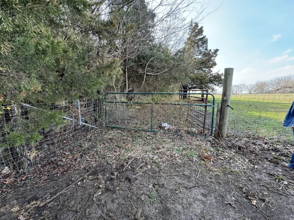 Picture 19