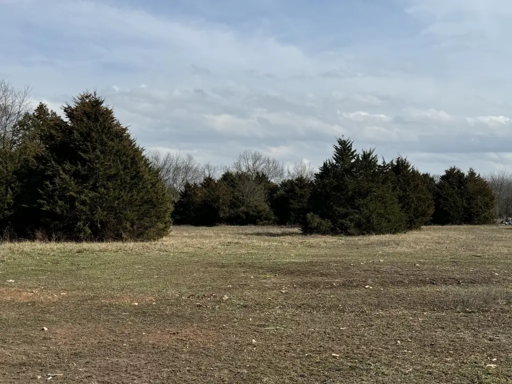 Picture 25