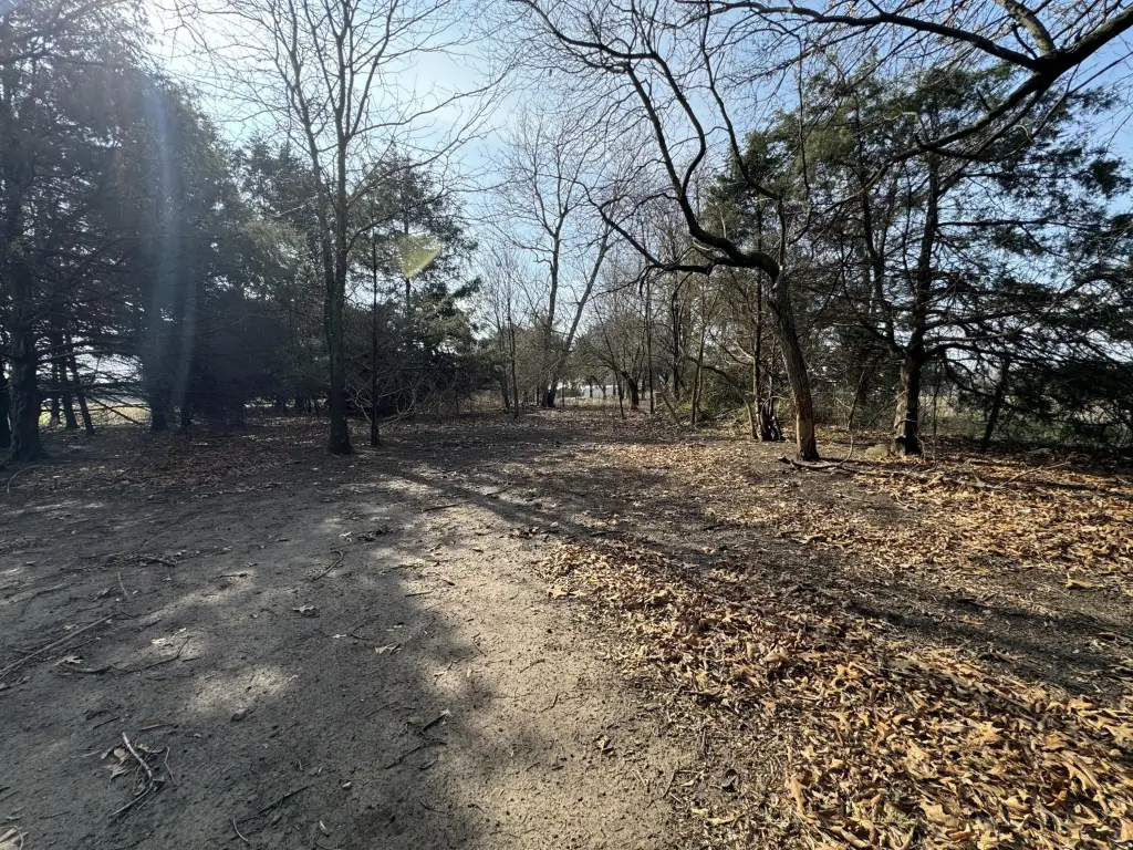 Picture 23