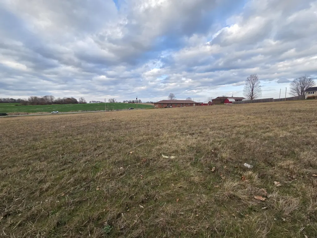 Picture 12