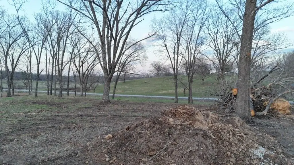 Picture 9