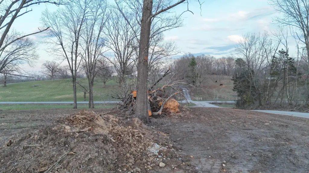 Picture 10