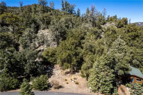 Pine Mountain Club Land/Lot