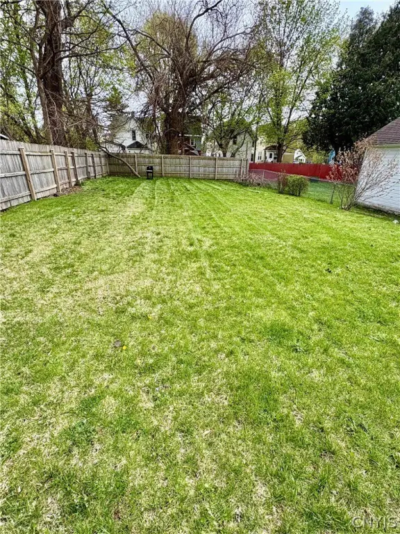 Picture 5