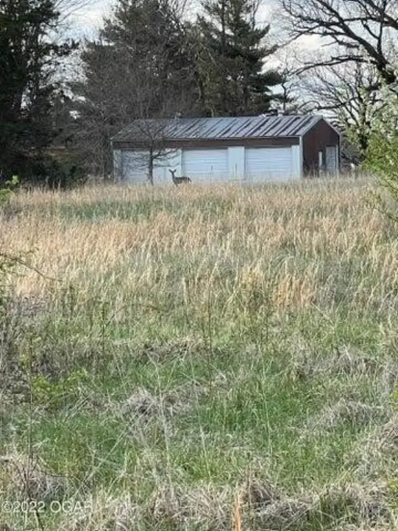 Picture 5